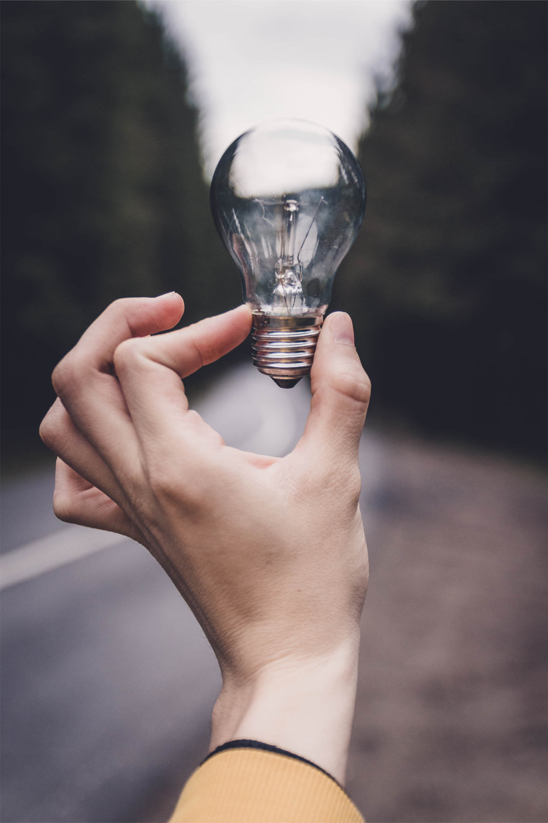 Clear Light Bulb Held by Hand