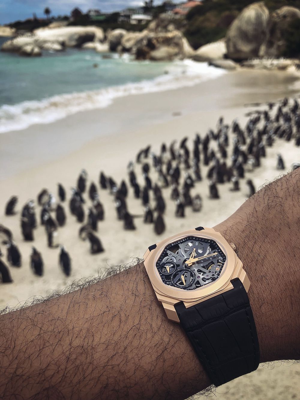 Bulgari Octo Finissimo