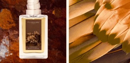 Plumages Tapage Nocturne review