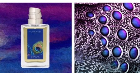 Plumages Parfums Parade Du Soir review