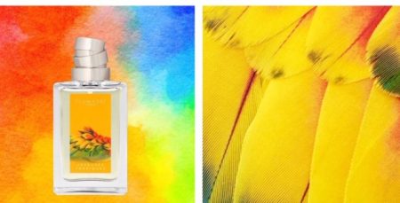 Plumages Joyeuses Tropiques review