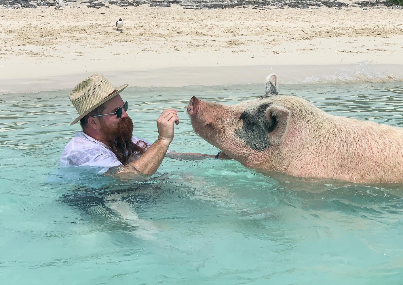 Zodiac Sea Wolf Watches Out To Play With aBlogtoWatch In The Bahamas Featured Articles Features Zodiac Sea Wolf Watches Out To Play With aBlogtoWatch In The Bahamas Featured Articles Features