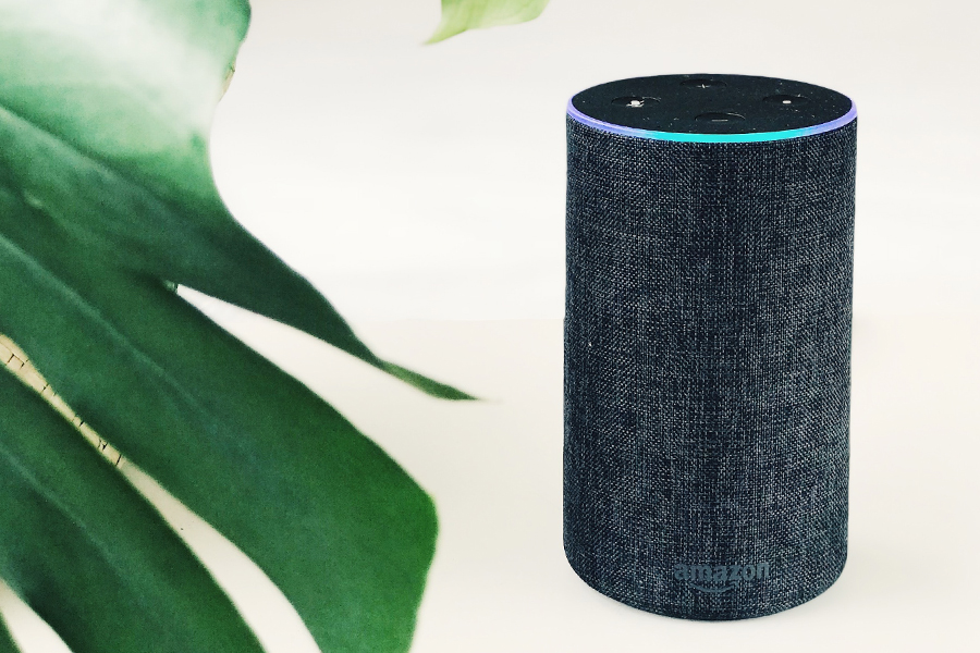 A black Amazon Echo with a blue light ring is on a beige background beside a large, green plant leaf.