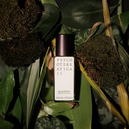 Jorum Studio PYSCHOTERRATICA II